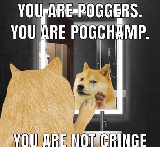doge meme looking into a bathroom mirror. captioned with "YOU ARE POGGERS. YOU ARE POGCHAMP. YOU ARE NOT CRINGE"